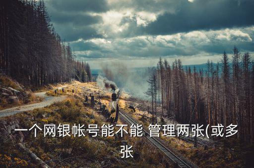一個網銀帳號能不能 管理兩張(或多張
