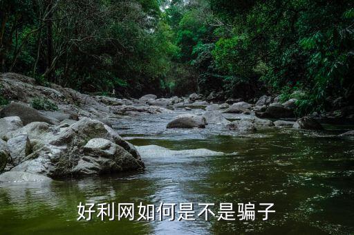 好利網是做什么的，網上好利網是真的嗎