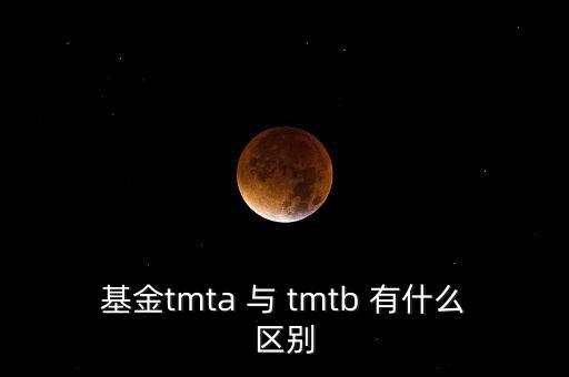 基金tmta 與 tmtb 有什么區別