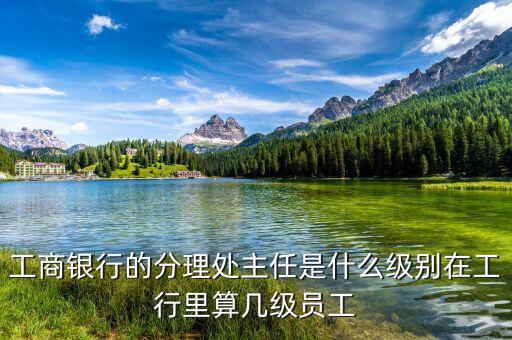 銀行分理處值班經理是什么職位，工商銀行的分理處主任是什么級別在工行里算幾級員工
