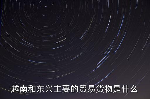 越南和東興主要的貿易貨物是什么