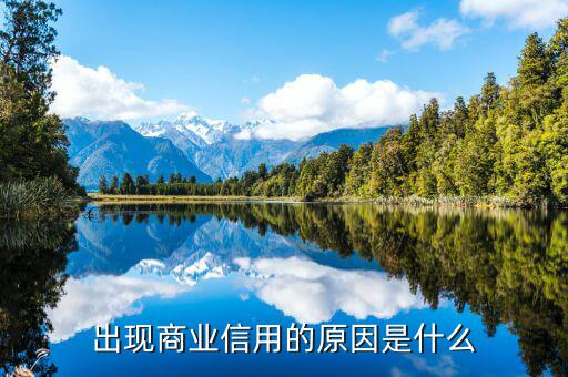 出現商業信用的原因是什么