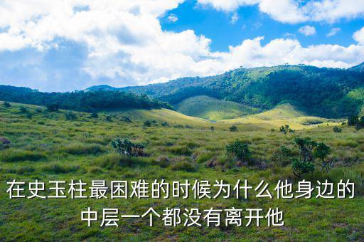 史玉柱為什么辭職，巨人史玉柱破產的原因是什么