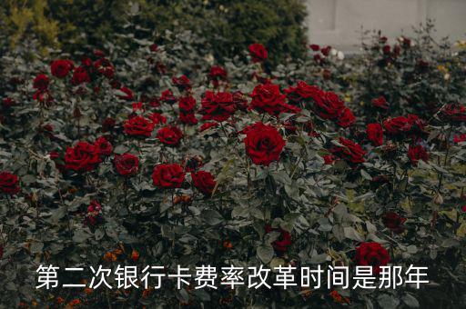 各銀行手續費改革什么時候開始，第二次銀行卡費率改革時間是那年