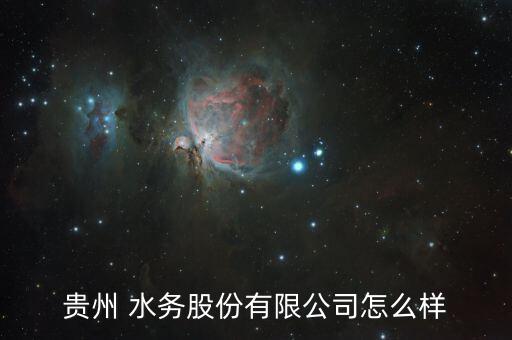 巴安水務怎么樣,貴州水務有限責任公司首次公開發行股票