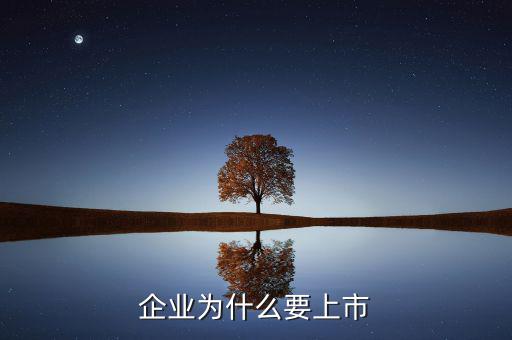 企業為什么要上市