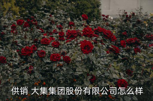  供銷(xiāo) 大集集團(tuán)股份有限公司怎么樣