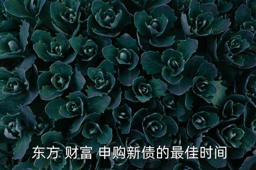  東方 財(cái)富 申購新債的最佳時間