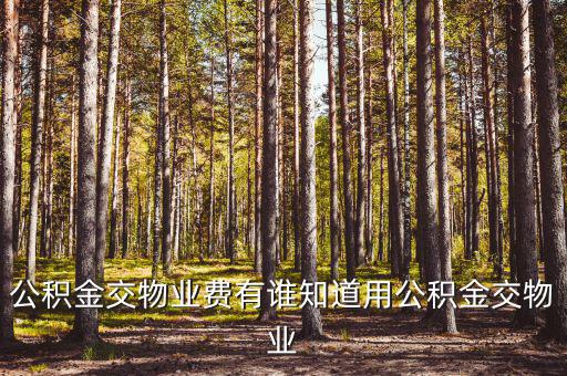 公積金交物業費有誰知道用公積金交物業