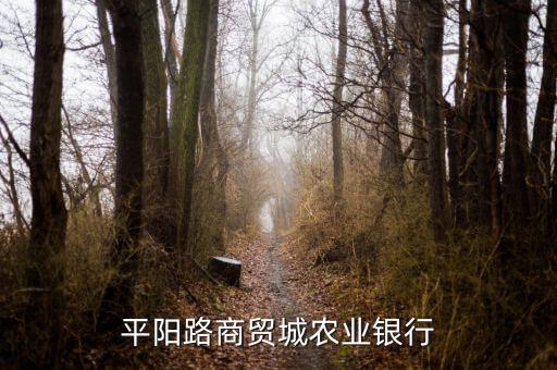 平陽路商貿城農業銀行