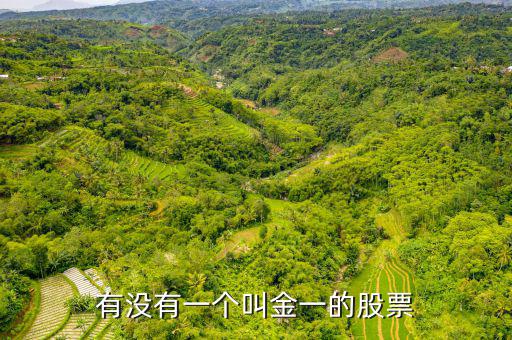 金一文化為什么停牌，金一文化什么時候復牌