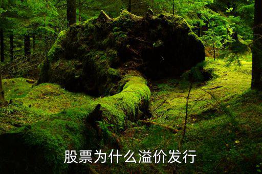 股票為什么溢價發行