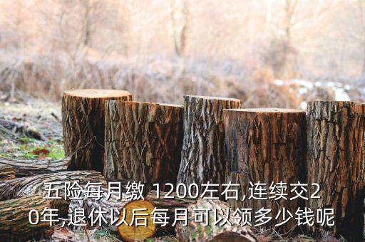 五險每月繳 1200左右,連續交20年,退休以后每月可以領多少錢呢