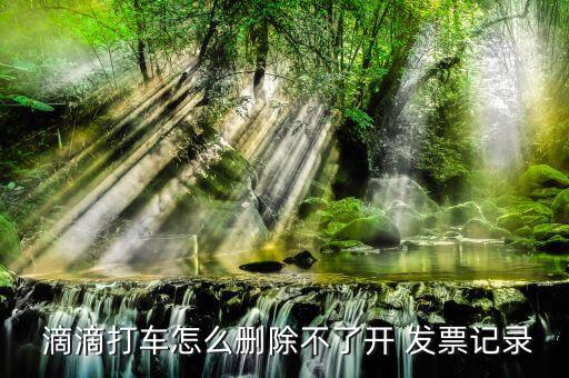 滴滴發票怎么取消
