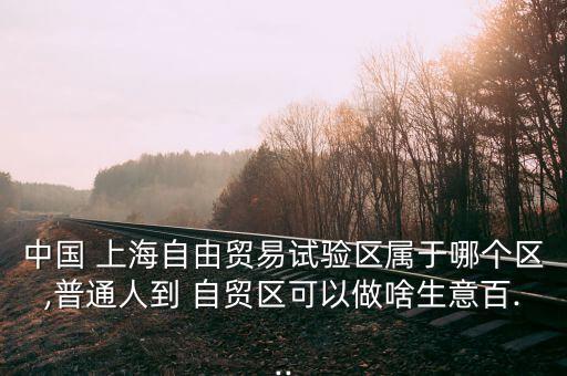 上海自貿區怎么購物,上海自貿試驗區總體方案或參考第三版】