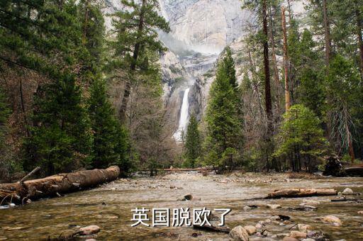 英國什么時候公投脫歐，英國公投脫歐結果什么時間公布