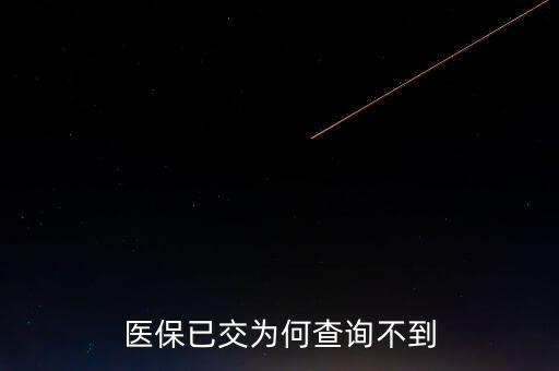 醫保已交為何查詢不到
