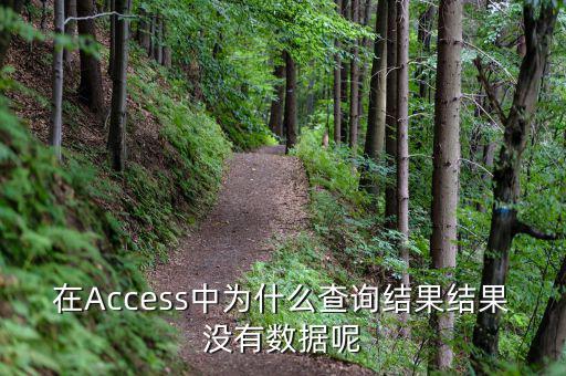 832494為什么沒有數據，在Access中為什么查詢結果結果沒有數據呢