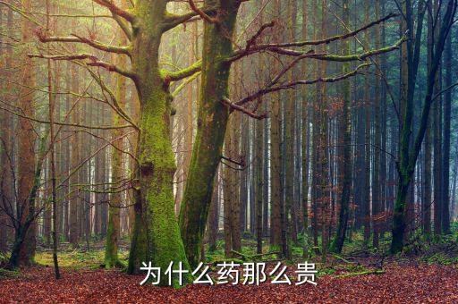 為什么藥價那么貴，醫藥費為什么那么貴