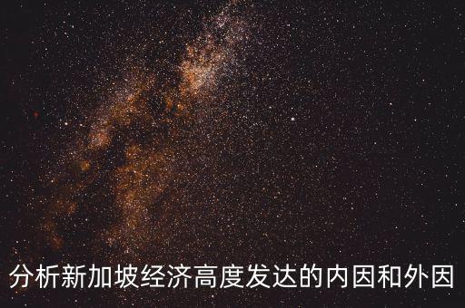 分析新加坡經濟高度發達的內因和外因