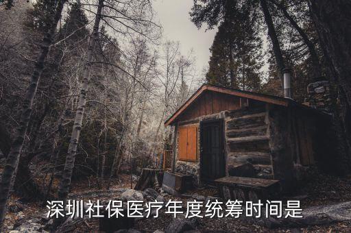 深圳社保醫療年度統籌時間是