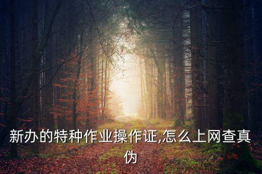 淘寶假證怎么查,開車出現病例如何取證?