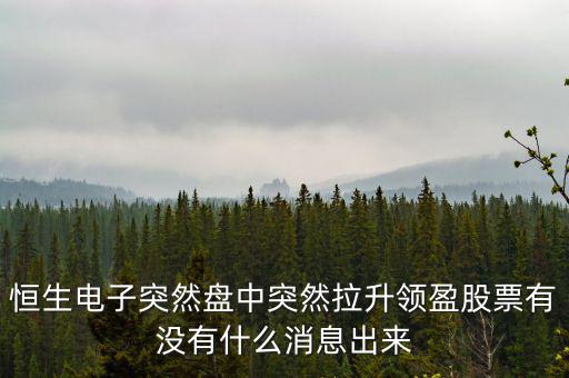 恒生電子突然盤中突然拉升領盈股票有沒有什么消息出來
