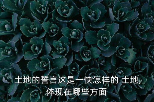 土地的誓言這是一快怎樣的 土地,體現在哪些方面