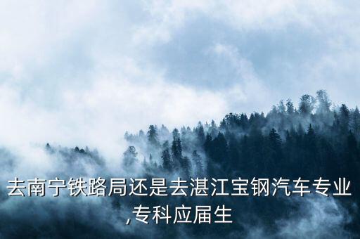 去南寧鐵路局還是去湛江寶鋼汽車專業,專科應屆生