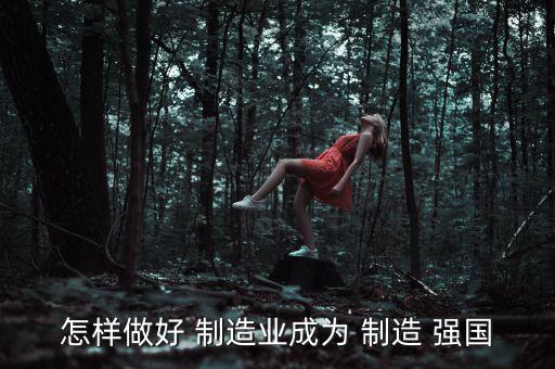 怎樣做好 制造業成為 制造 強國