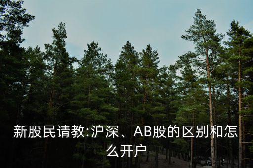 新股民請教:滬深、AB股的區(qū)別和怎么開戶