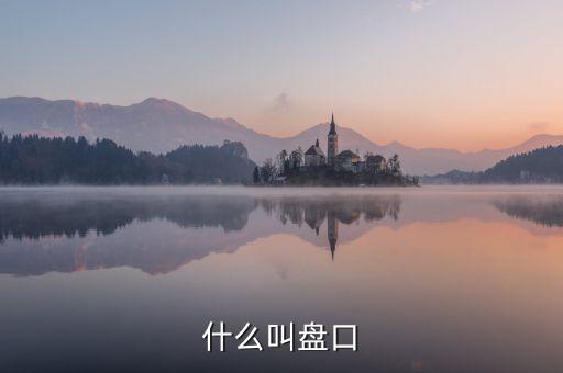 大盤口什么意思，大盤中的盤口是什么意思啊