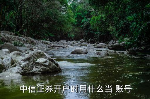 中信證券賬號怎么申請,如何開設創業板賬戶?