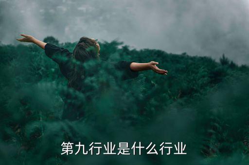 第九行業是什么行業