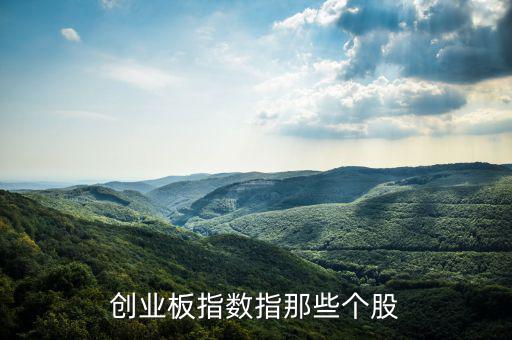 創業板指數指那些個股