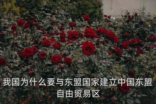 我國為什么要與東盟國家建立中國東盟自由貿易區