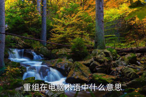 重組在電腦術語中什么意思