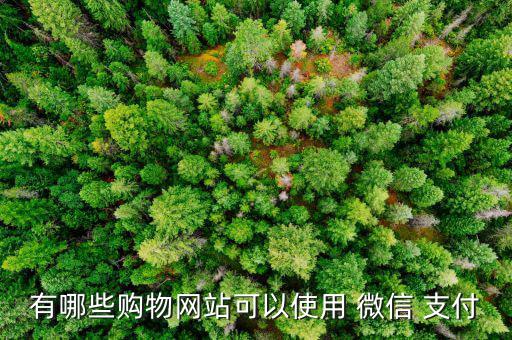 美麗說怎么用微信支付,家樂福全國門店均已聯網微信支付