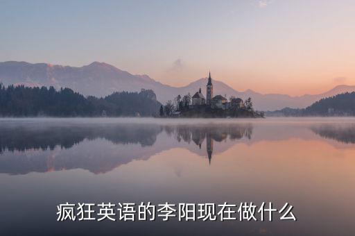 李陽加入什么直銷，瘋狂英語的李陽現在做什么