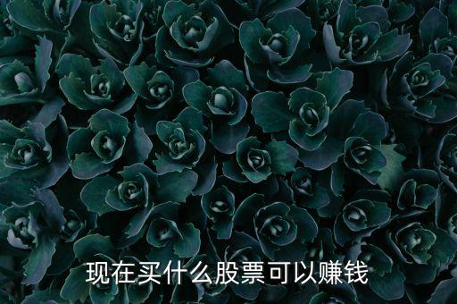 今年買什么股票可以賺錢，現在買什么股票可以賺錢
