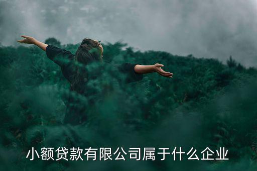 德善小額貸款是什么企業，德盛行小額貸款是不是真的