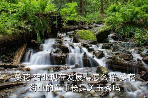 葵花藥業阿膠怎么樣,小葵花藥業有限公司上市在本地藥市場上市