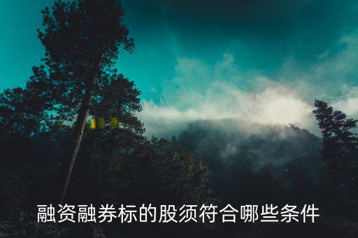 融資融券的股票具備什么條件，證券公司申請融資融券應當具備哪些條件