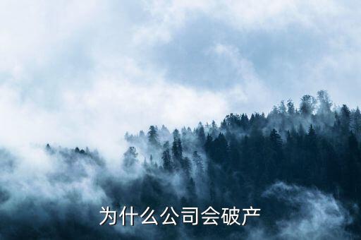 凱銀集團為什么破產了，公司破產的原因是什么