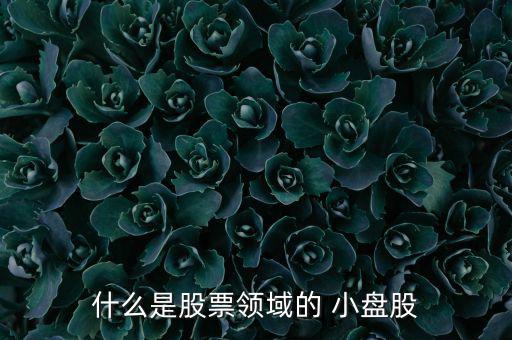 小盤股怎么炒,牛市選擇小盤股與中盤股比較優勢在某一階段明確