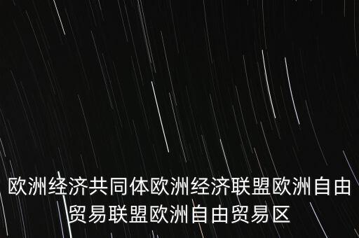 歐洲經濟共同體歐洲經濟聯盟歐洲自由貿易聯盟歐洲自由貿易區