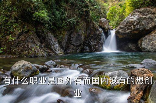 國外有什么行業國內沒有，現在外國有哪些新興行業是國內沒有的