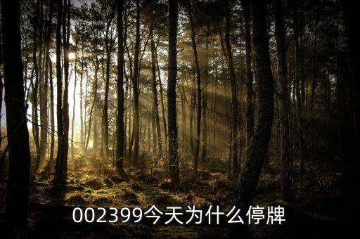 大連友誼為什么停牌，002399今天為什么停牌