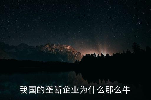 我國的壟斷企業為什么那么牛