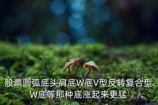 股票圓弧底頭肩底W底V型反轉復合型W底等那種底漲起來更猛
